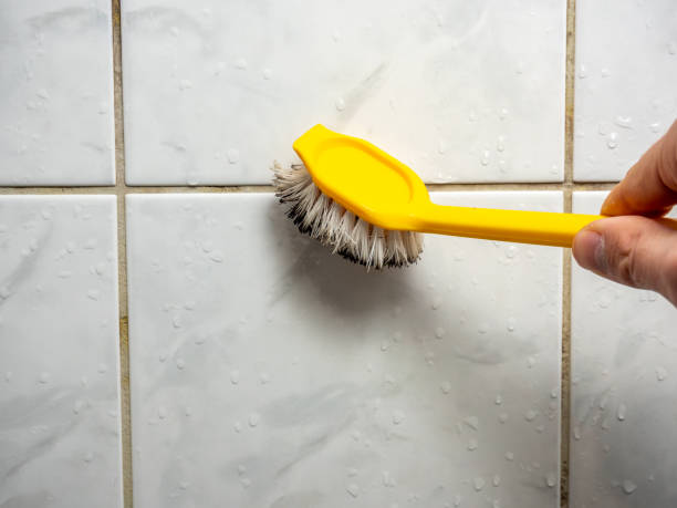Best Certified Mold Removal  in Lagrange, OH