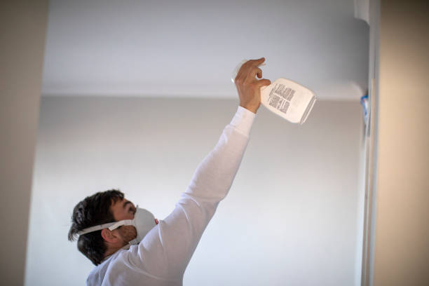 Best Black Mold Removal  in Lagrange, OH