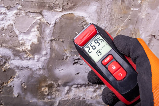 Best Water Damage Restoration  in Lagrange, OH
